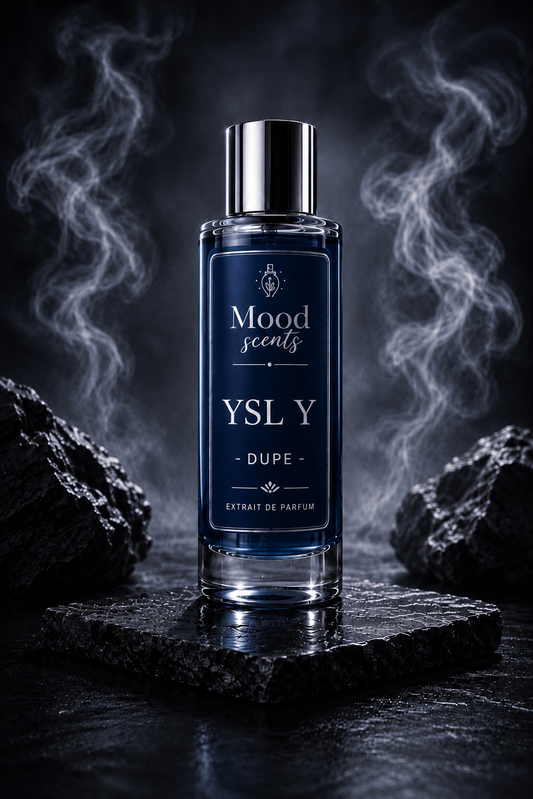 Ysl Y